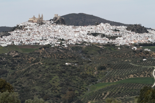 Olvera, smukt beliggende med kirke og castillo på toppen
